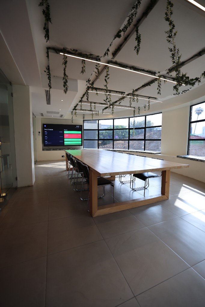 Green Room with hanging plants